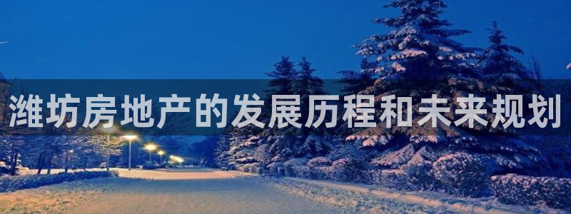 新宝5在哪里：潍坊房地产的发展历程和未来规划