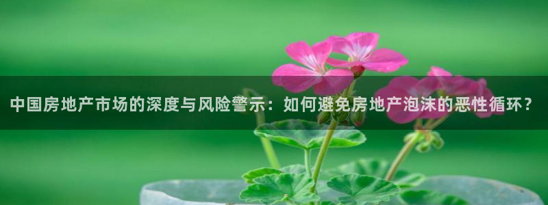 新宝5的网址：中国房地产市场的深度与风险警示：如何避免房地产