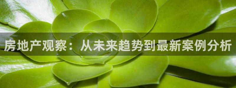 新宝5系列：房地产观察：从未来趋势到最新案例分析