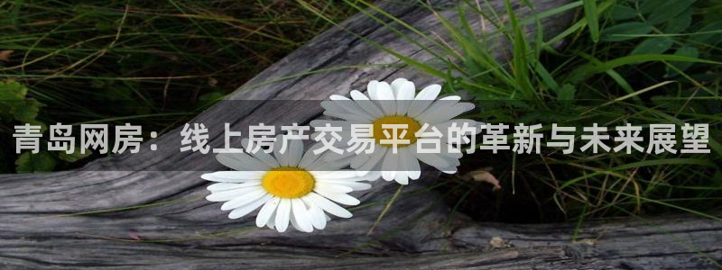 新宝5怎么下载到桌面：青岛网房：线上房产交易平台的革新与未来