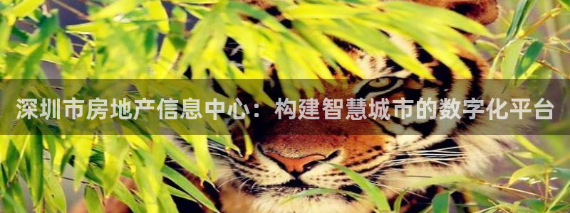 新宝5户端：深圳市房地产信息中心：构建智慧城市的数字化平台
