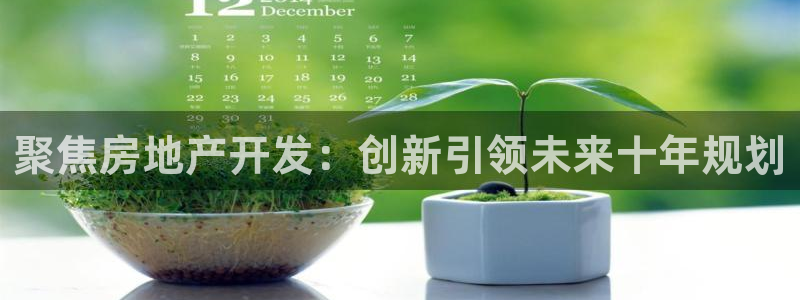 新宝m2O5O5O：聚焦房地产开发：创新引领未来十年规划