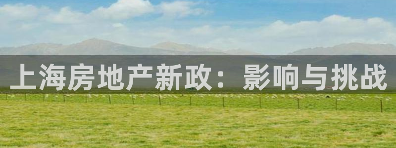 新宝5五：上海房地产新政：影响与挑战