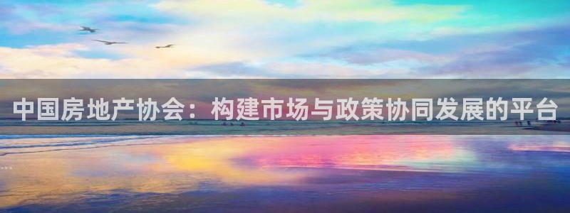 新宝5唯一：中国房地产协会：构建市场与政策协同发展的平台