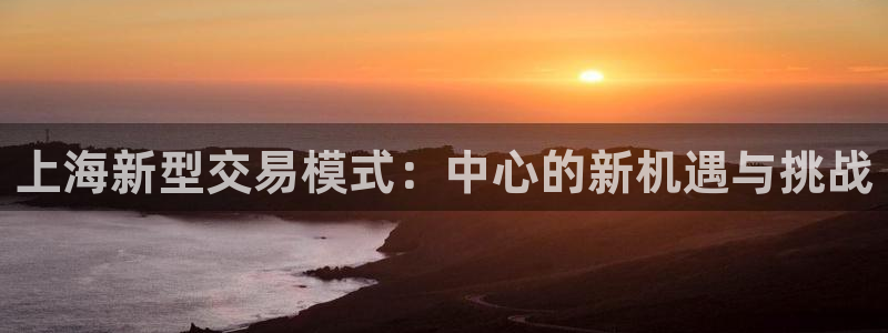 新宝5平台登录下载软件：上海新型交易模式：中心的新机遇与挑战