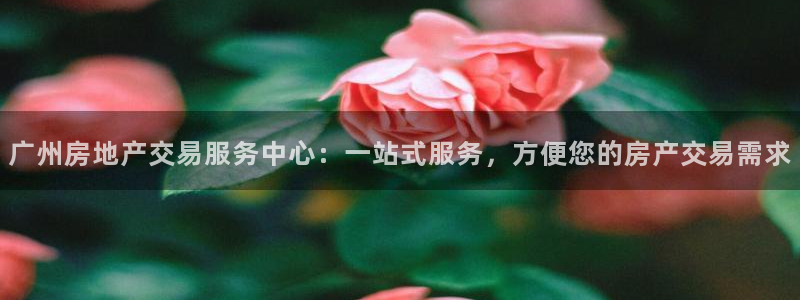 新宝5电脑：广州房地产交易服务中心：一站式服务，方便您的房产