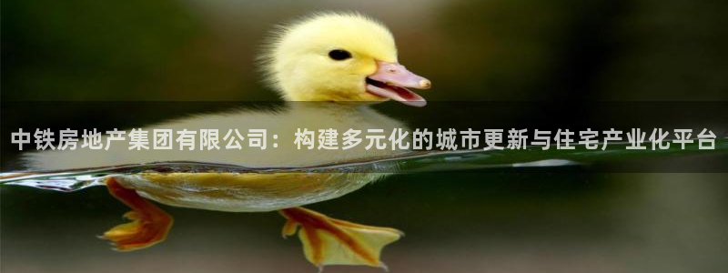 新宝5娱乐没：中铁房地产集团有限公司：构建多元化的城市更新与