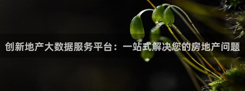 新宝 5测速：创新地产大数据服务平台：一站式解决您的房地产问