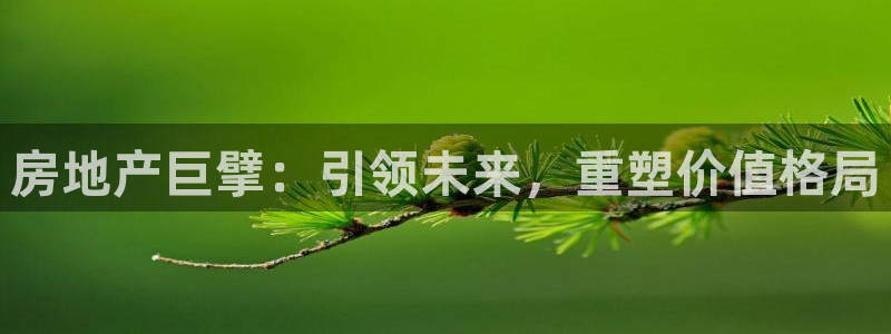 新宝5下载注册：房地产巨擘：引领未来，重塑价值格局