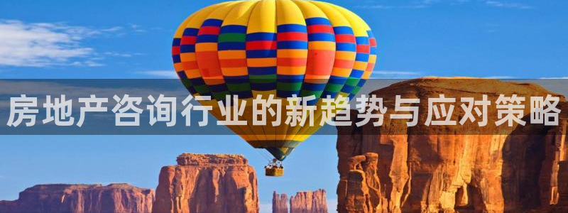 新宝5注册测速登录：房地产咨询行业的新趋势与应对策略
