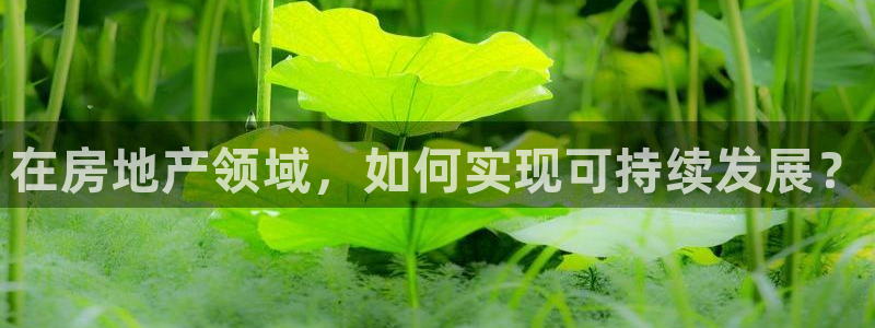 新宝5是谁：在房地产领域，如何实现可持续发展？
