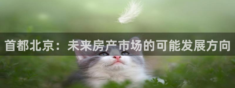 新宝h2O5O5O：首都北京：未来房产市场的可能发展方向