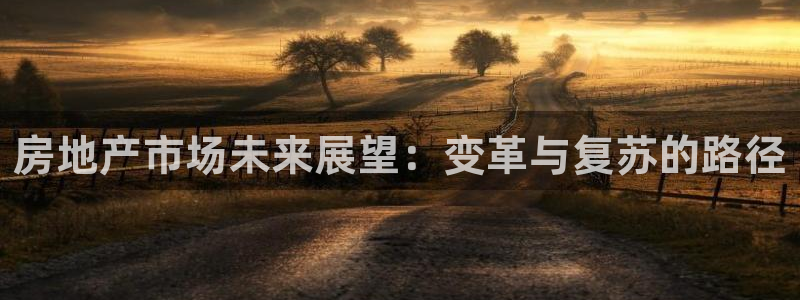 新宝5代理注册：房地产市场未来展望：变革与复苏的路径