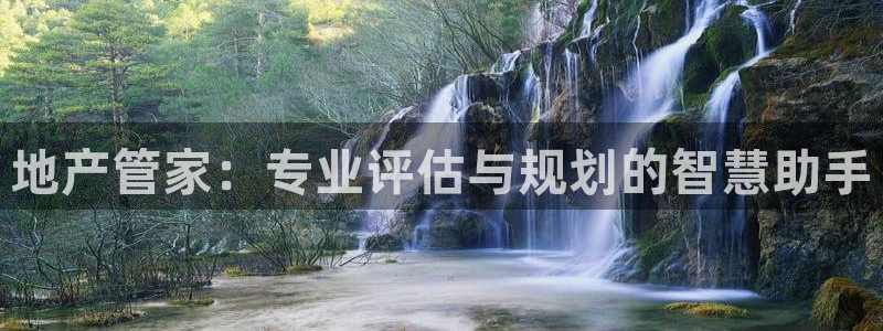 新宝5手机测速：地产管家：专业评估与规划的智慧助手