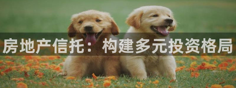 新宝5测登录：房地产信托：构建多元投资格局