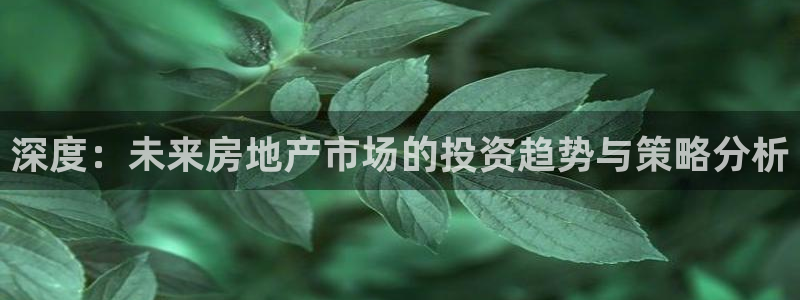 新宝5测速：深度：未来房地产市场的投资趋势与策略分析