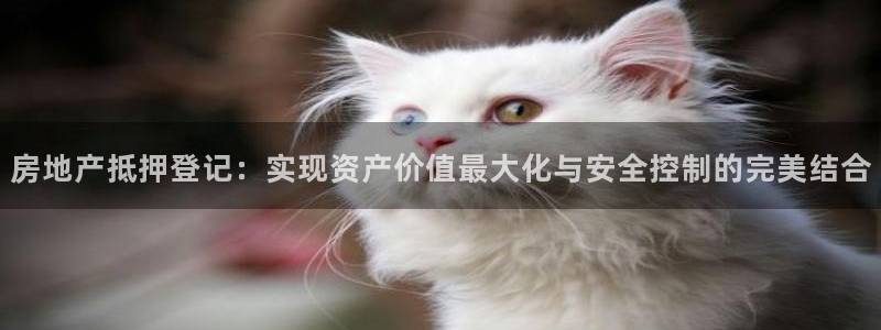 新宝5线路：房地产抵押登记：实现资产价值最大化与安全控制的完