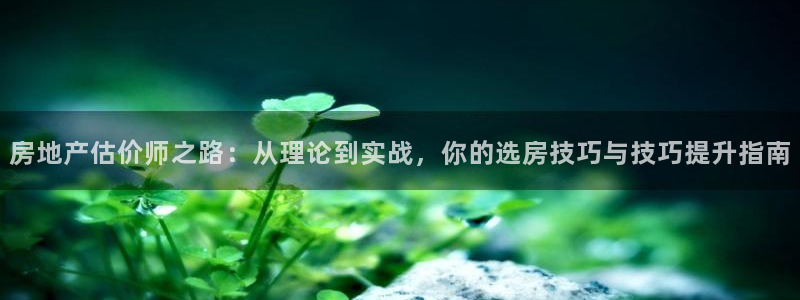 新宝5周74OOO5：房地产估价师之路：从理论到实战，你的选
