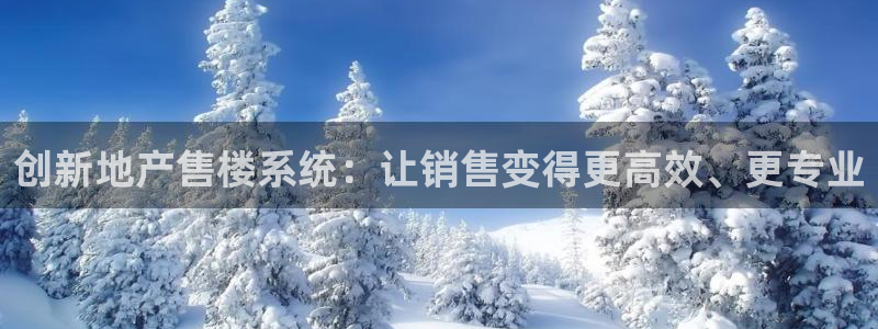 新宝5登录入口网址：创新地产售楼系统：让销售变得更高效、更专