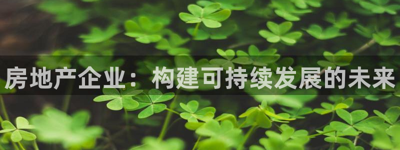 新宝cR一5：房地产企业：构建可持续发展的未来