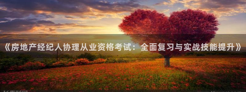 新宝5测速平台登录：《房地产经纪人协理从业资格考试：全面复习