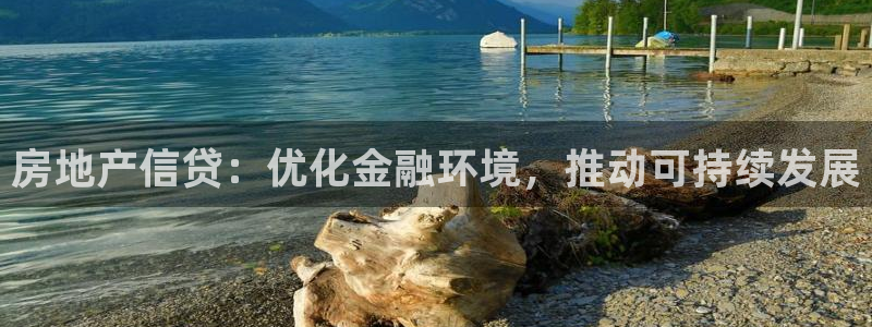 新宝5天：房地产信贷：优化金融环境，推动可持续发展