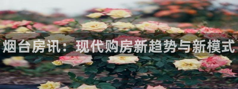 新宝5后：烟台房讯：现代购房新趋势与新模式