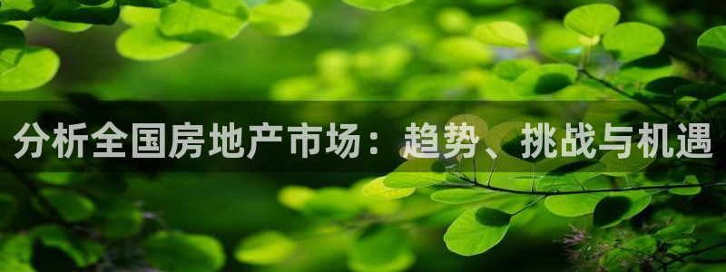 新宝5分彩：分析全国房地产市场：趋势、挑战与机遇