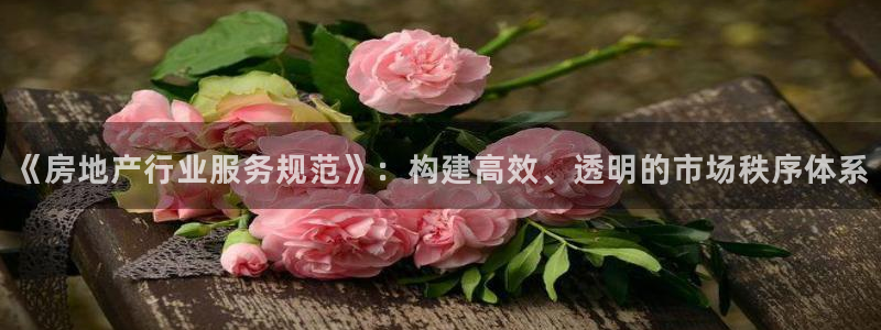 皇冠新宝5：《房地产行业服务规范》：构建高效、透明的市场秩序