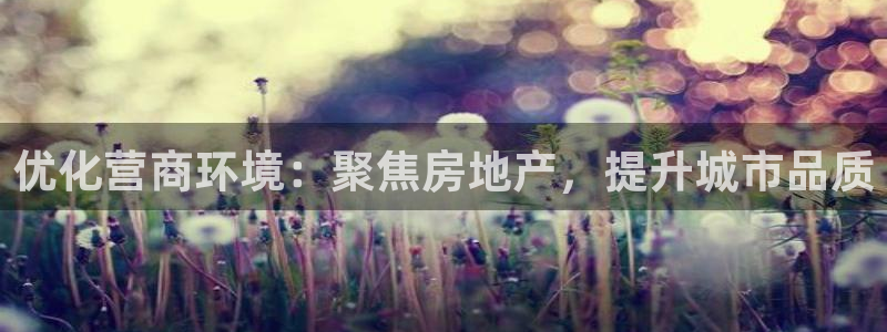 新宝5电脑：优化营商环境：聚焦房地产，提升城市品质