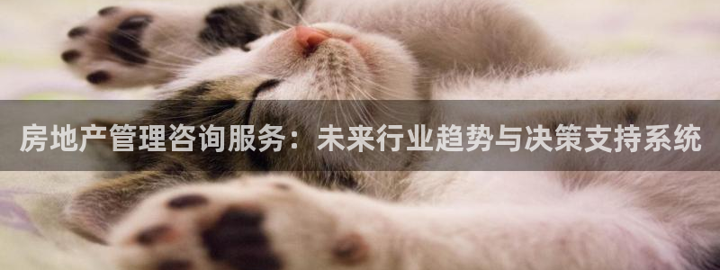 新宝5网：房地产管理咨询服务：未来行业趋势与决策支持系统