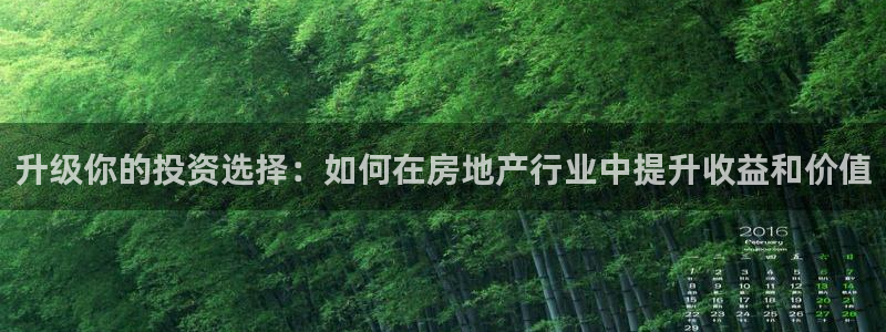 新宝5测速平台登录：升级你的投资选择：如何在房地产行业中提升