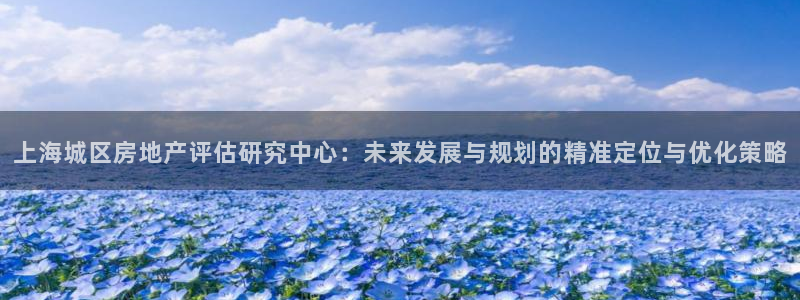 新宝5客户端登录：上海城区房地产评估研究中心：未来发展与规划