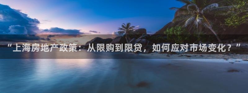 新宝5下载 迅雷下载