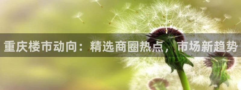 皇冠新宝5：重庆楼市动向：精选商圈热点，市场新趋势
