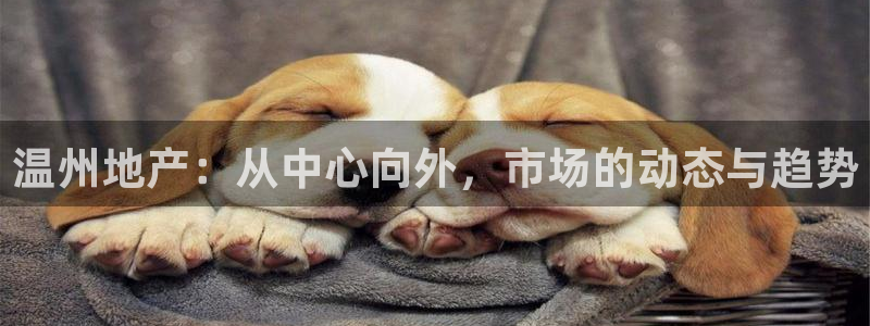 新宝股东瞧听2 5 5：温州地产：从中心向外，市场的动态与趋