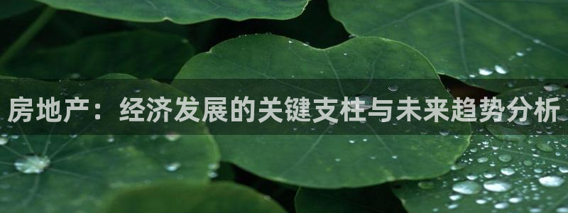 新宝5娱乐注：房地产：经济发展的关键支柱与未来趋势分析