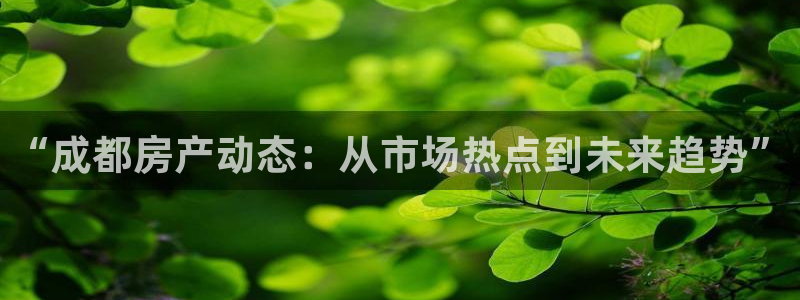 新宝5台卡：“成都房产动态：从市场热点到未来趋势”