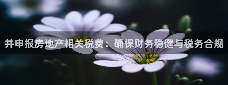 新宝5代理注册：并申报房地产相关税费：确保财务稳健与税务合规