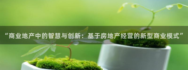 新宝5彩票平台登陆：“商业地产中的智慧与创新：基于房地产经营