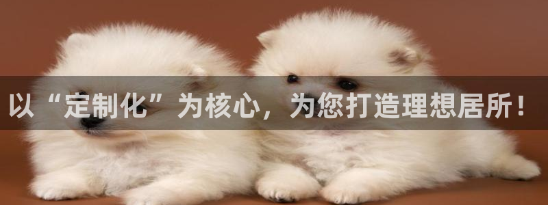 新宝5唯一：以“定制化”为核心，为您打造理想居所！