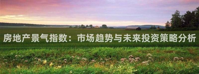 新宝5平台登录下载软件：房地产景气指数：市场趋势与未来投资策
