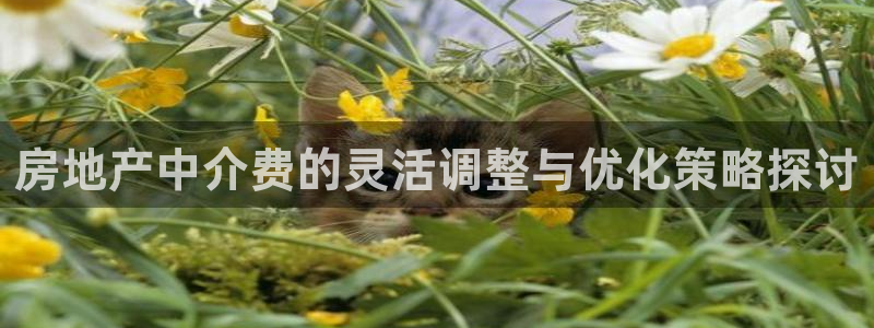 新宝5开户：房地产中介费的灵活调整与优化策略探讨