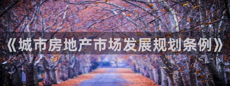 新宝速5：《城市房地产市场发展规划条例》