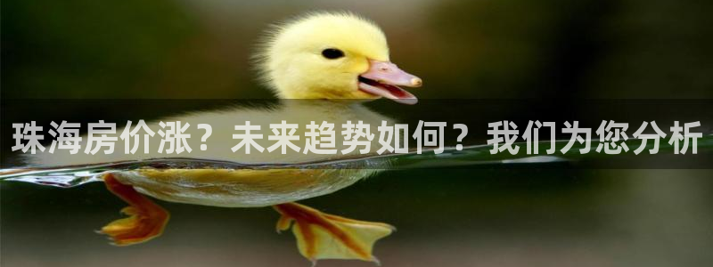 新宝5下载官方：珠海房价涨？未来趋势如何？我们为您分析