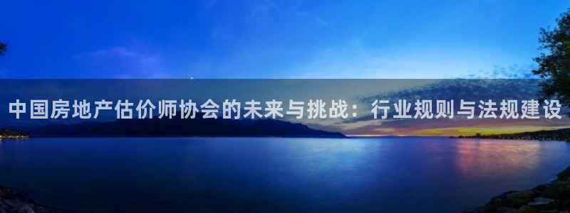新宝5公司：中国房地产估价师协会的未来与挑战：行业规则与法规