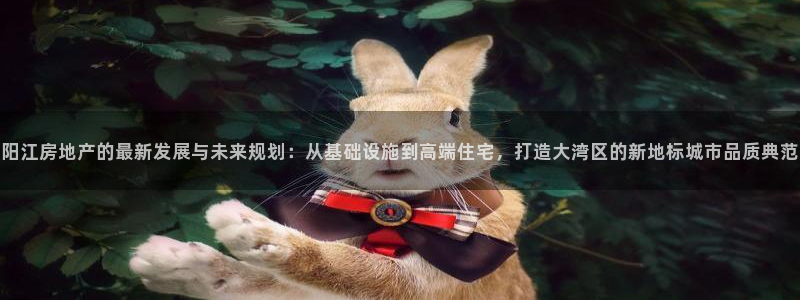 新宝5卫74OOO5：阳江房地产的最新发展与未来规划：从基础
