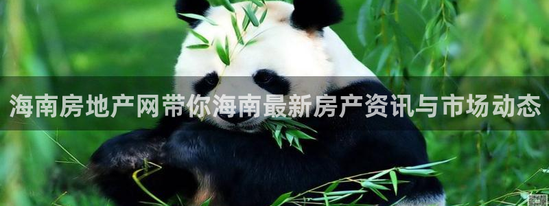 新宝5黑彩：海南房地产网带你海南最新房产资讯与市场动态