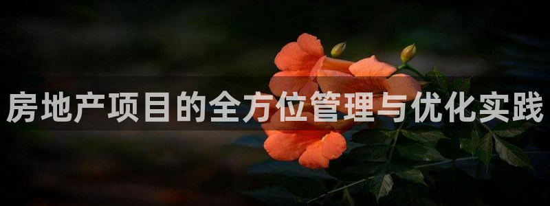 新宝5官方下载地址：房地产项目的全方位管理与优化实践
