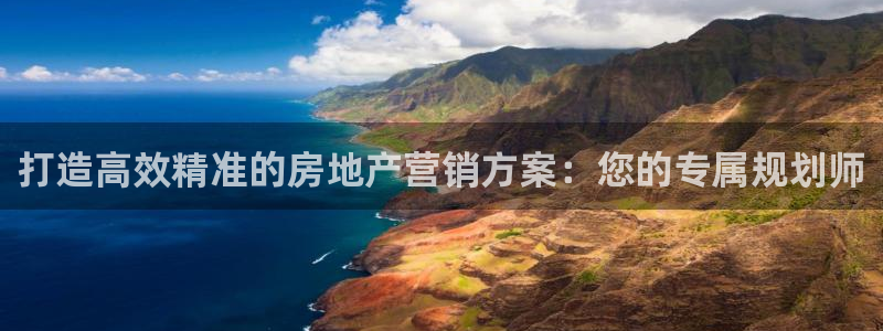 新宝5app手机下载：打造高效精准的房地产营销方案：您的专属